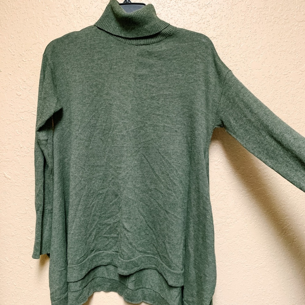 Tunic turtleneck